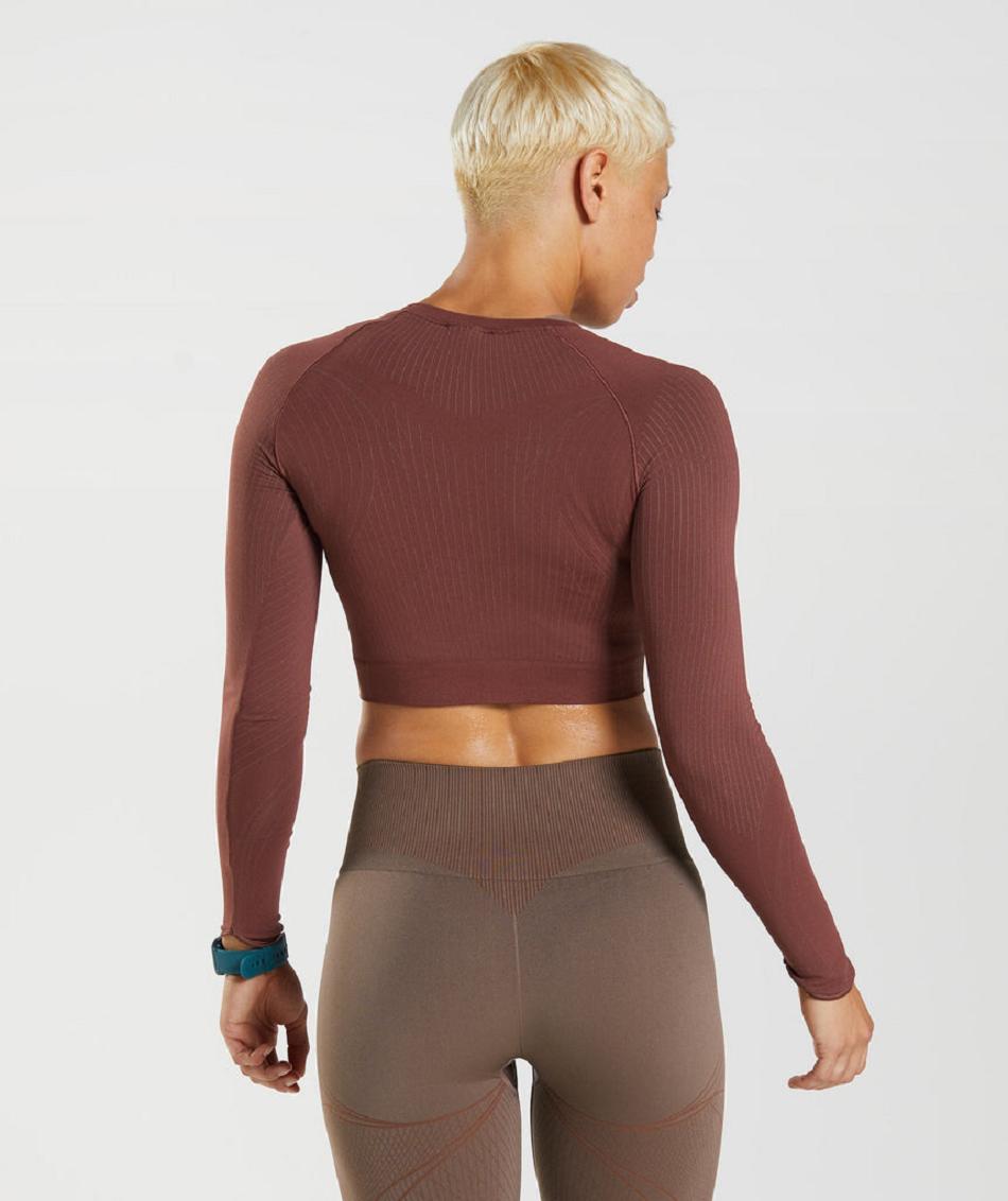 Przycięte Topy Damskie Gymshark Apex Seamless Różowe Brązowe Brązowe | PL 2650ZUT